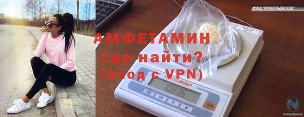 молекула духа Вязьма