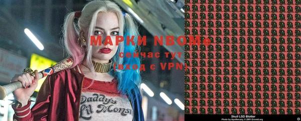 молекула духа Вязьма