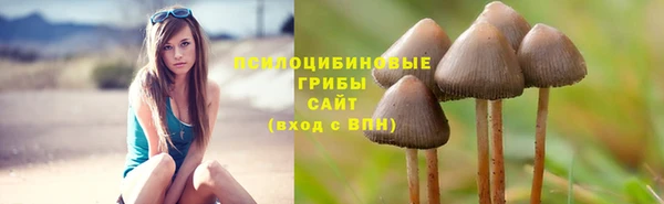 молекула духа Вязьма