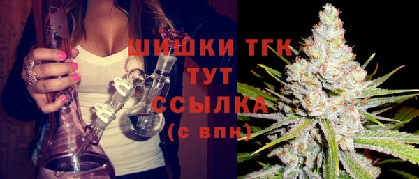 молекула духа Вязьма