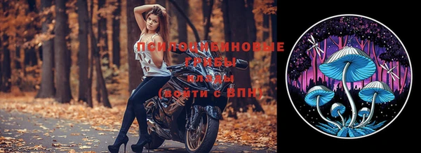 мдпв Горно-Алтайск