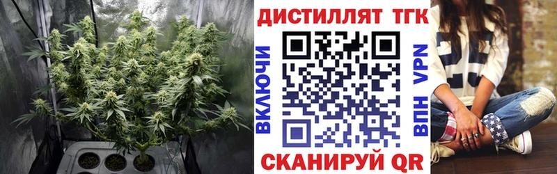 Купить где  Вязьма  ТГК Wax 