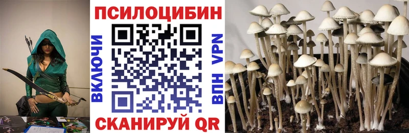 Галлюциногенные грибы Cubensis  Купить где  Вязьма 