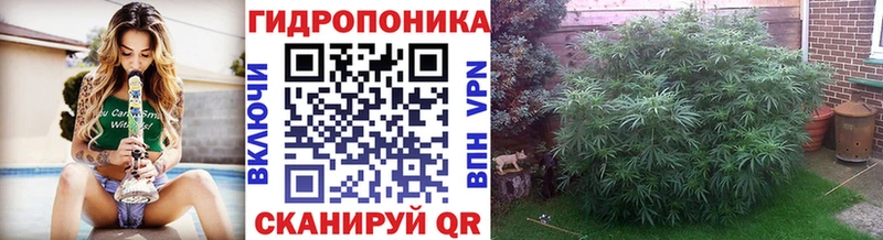 Купить где  Вязьма  Бошки марихуана Ganja 